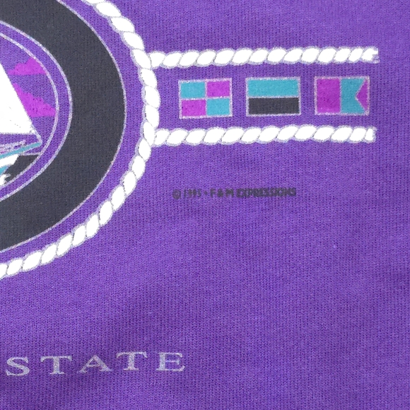 Vintage Discus Athletics Purple Sweatshirt Florida Sunshine State 1995 Size M - Picture 3 of 9